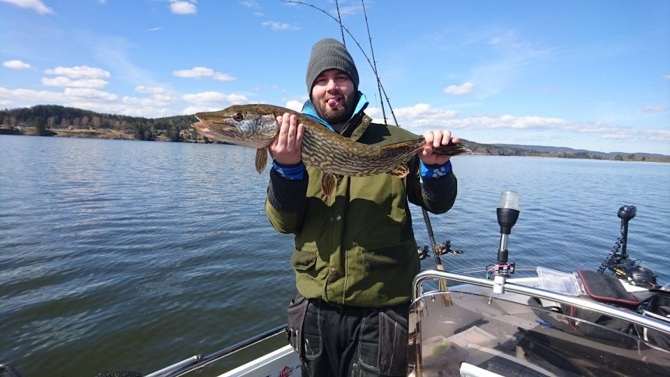 Joacim Ottesen med sin 2. fisk inn i konkurransen.