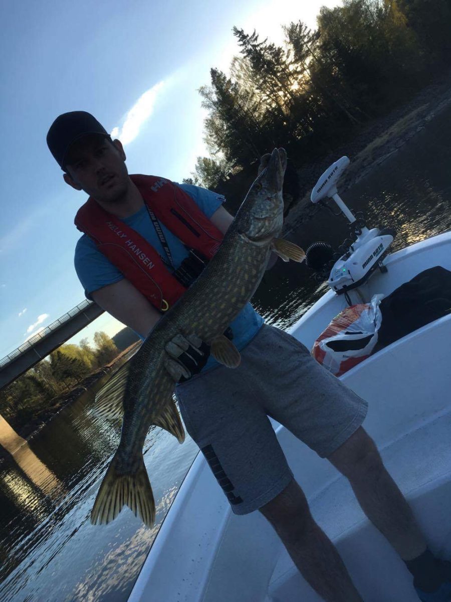 Christer Marthinsen med sin 3 gjedde inn i konkurransen.