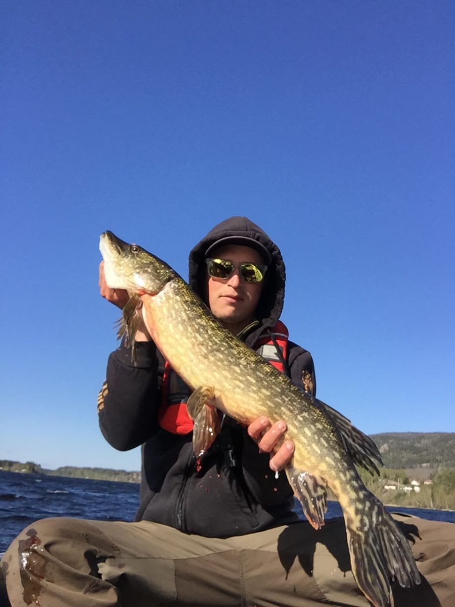 Christoffer Askheim melder inn gjedde!