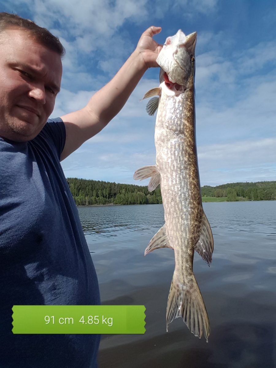 Lars-Andre Østby inn enda ei gjedde