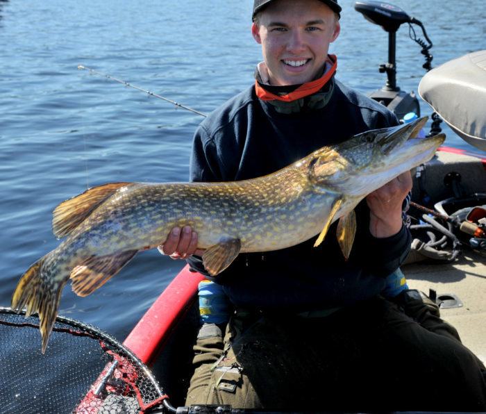 Thomas melder inn to fisk