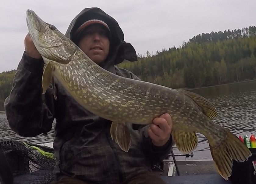 Velkommen inn gubben :-) eller Ole Fosby ssom han faktisk heter.
