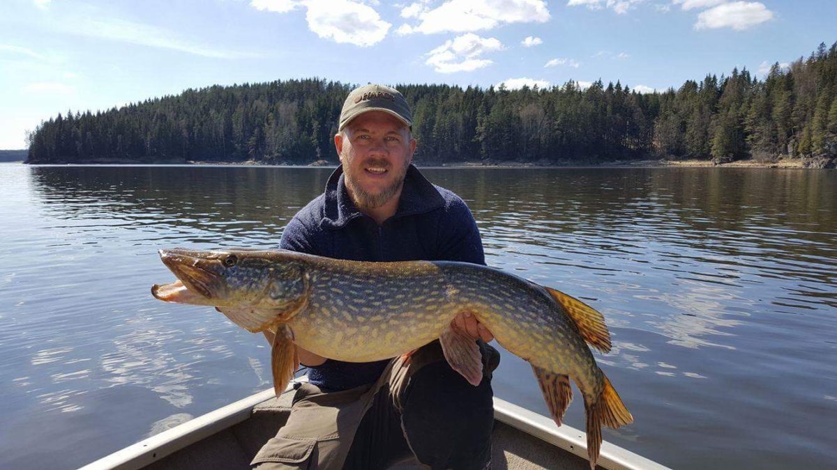 Jonas J. Nygaard med minigris varning.