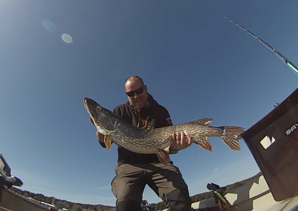 Helge Norvang melder inn fin fisk!!