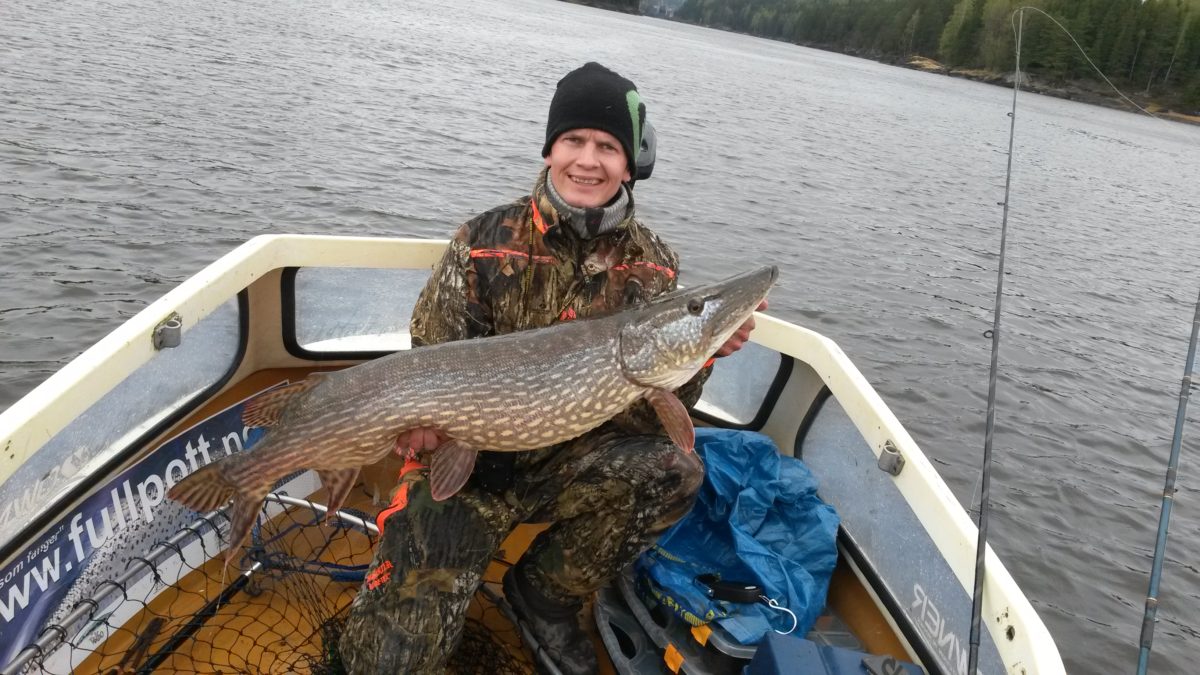 Grompike av Svae :-) hans første inn i gjeddkonkurranse.