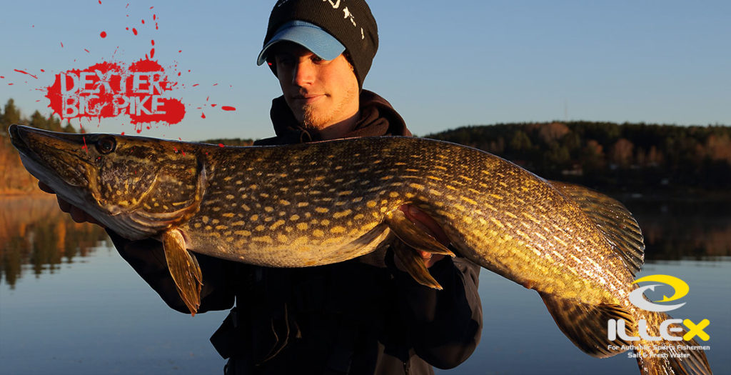 DEXTER BIG PIKE (tevling)