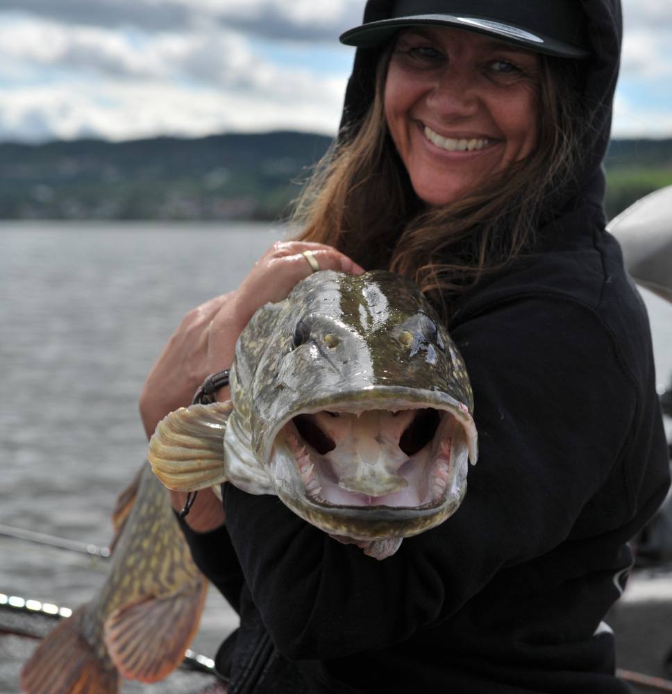 Da Fru bondeKONA (Kristin Roos Aas) satte gjeddeGUTTA på plass.