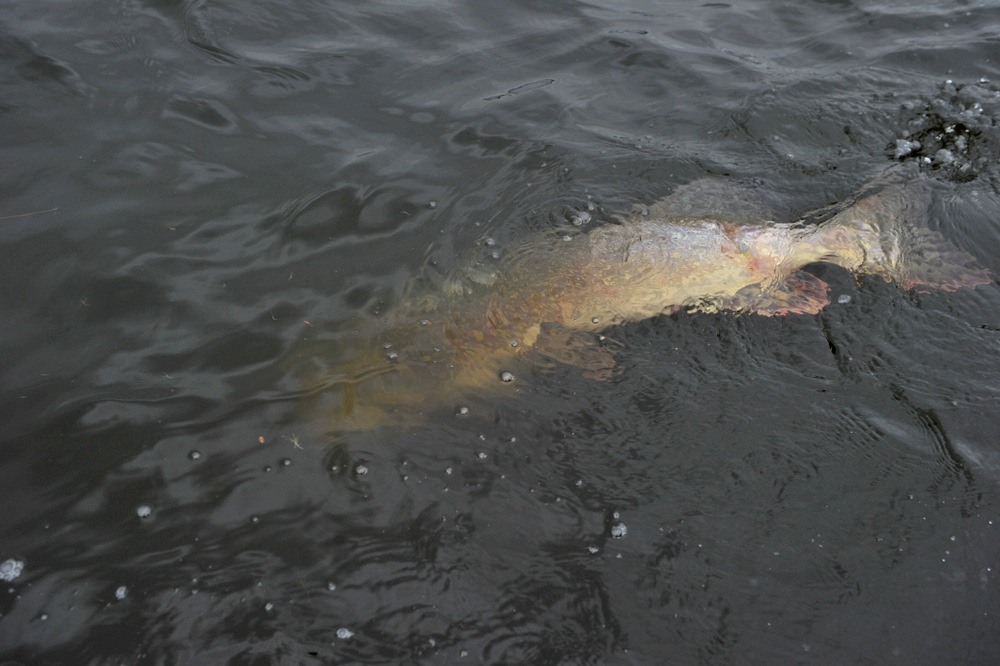 Rick melder inn en ny PB