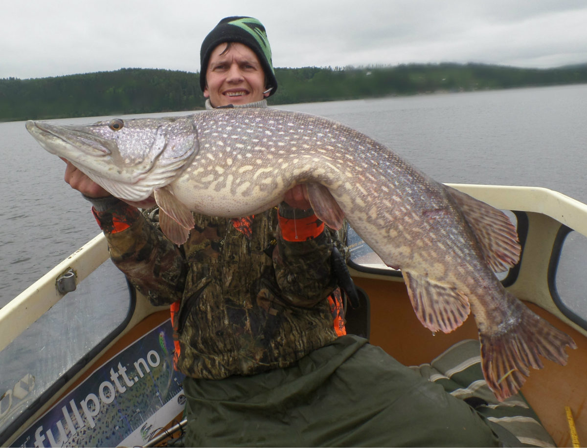 Pål Sindre Svae melder inn to flotte fisker!