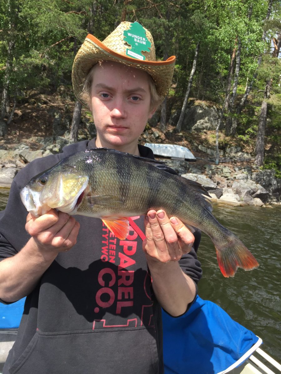 1310gr og 46cm fra Mister Wunder baum