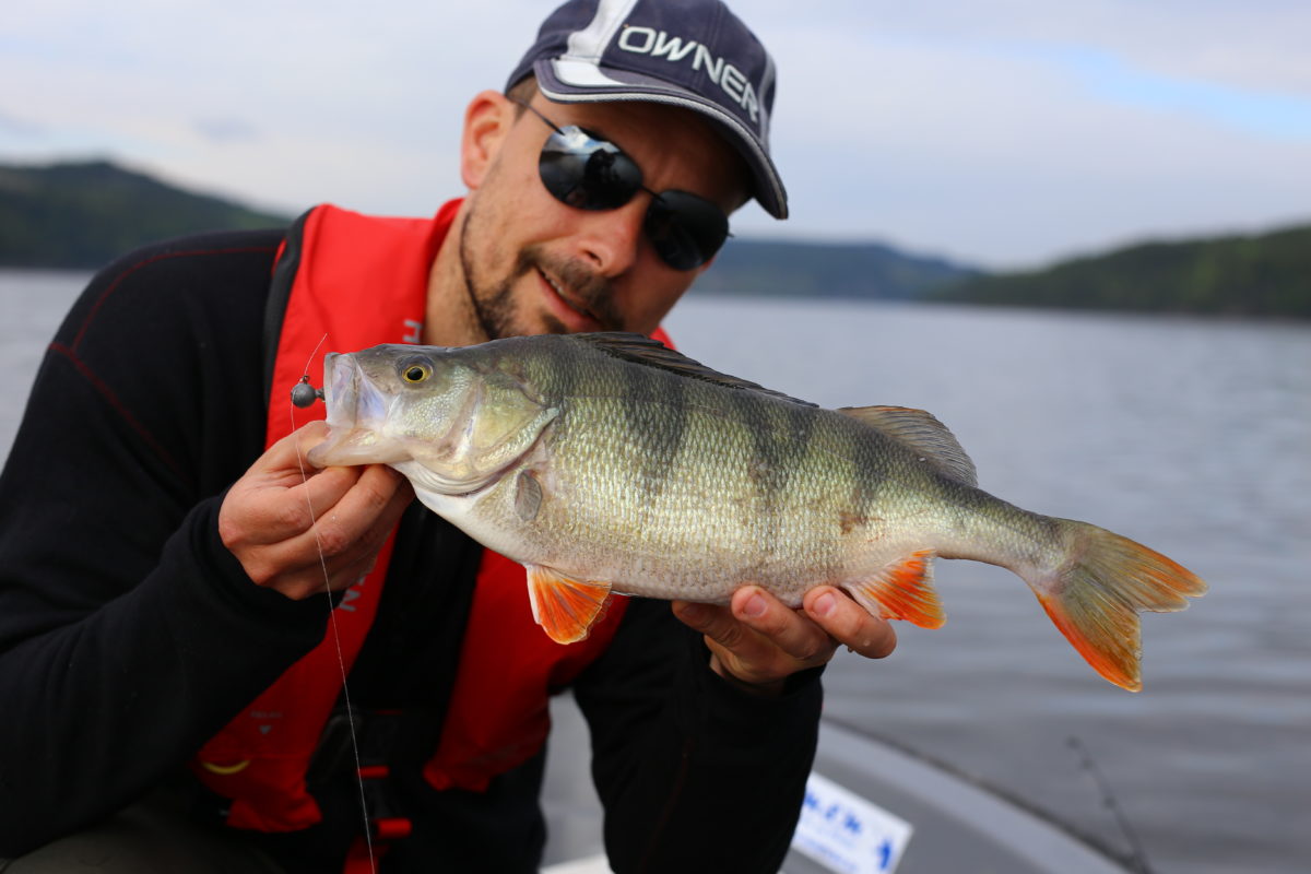 Frederik Mortvedt men en ny grom abbor :-)