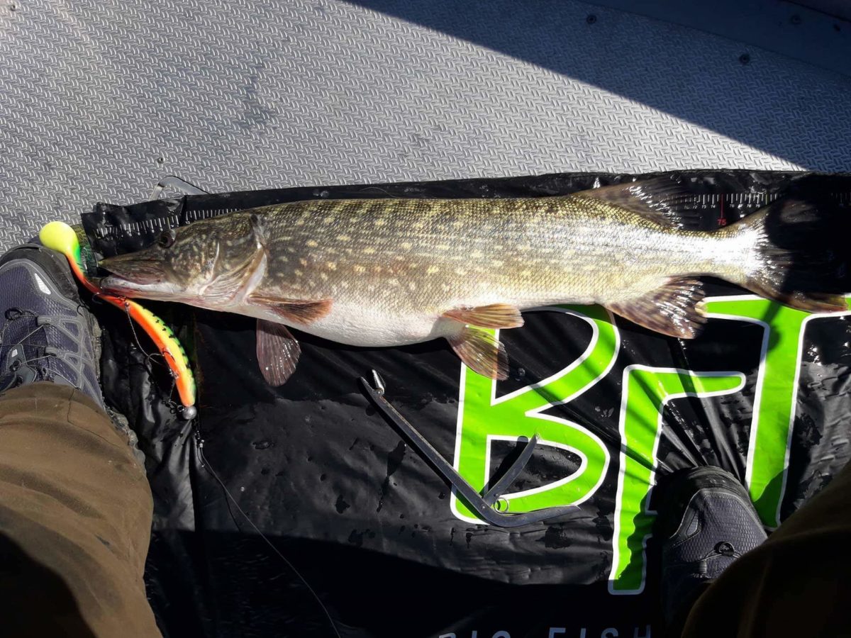 Hadde en svær brasme i magen.