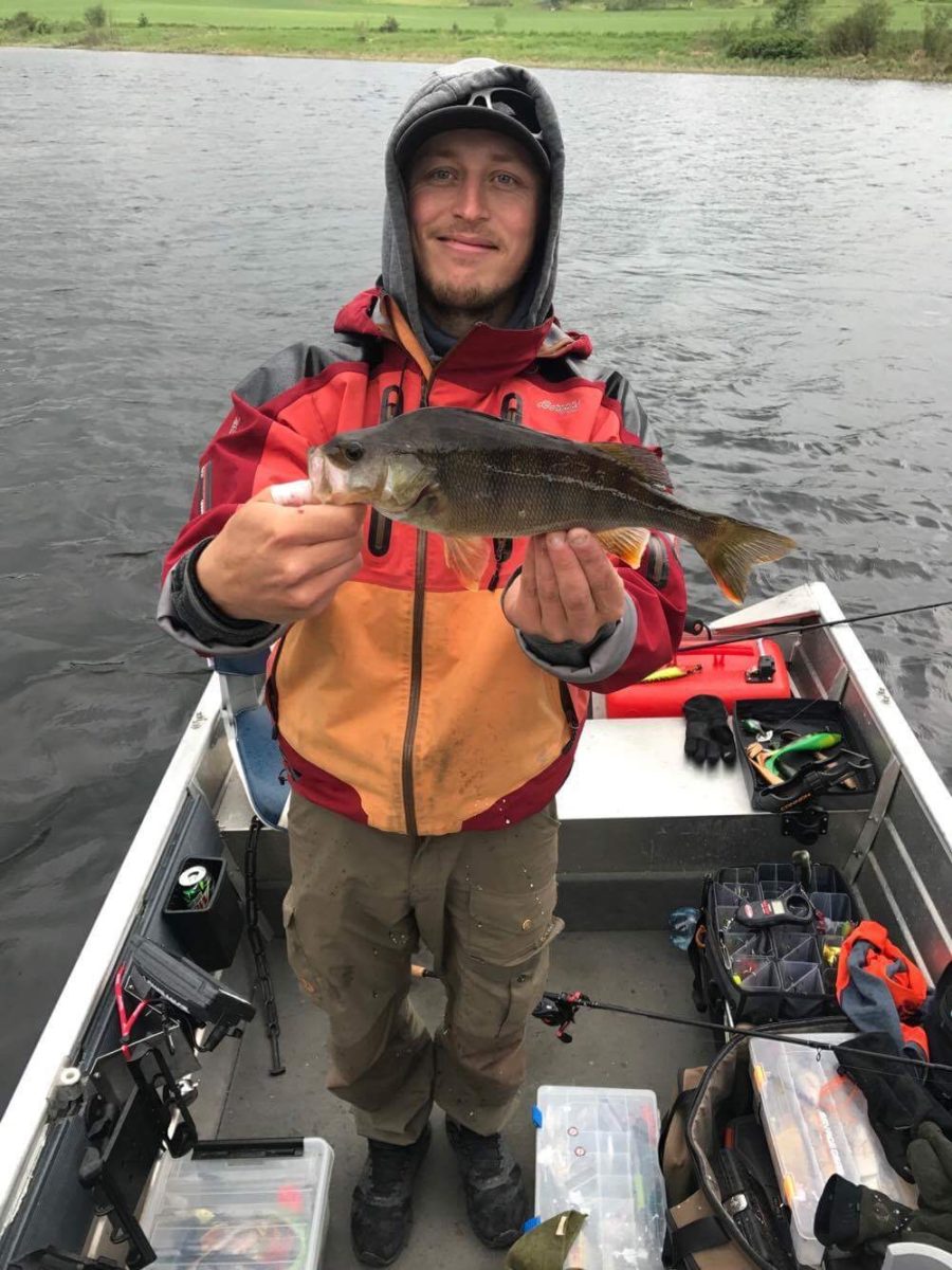 Christoffer Askheim med en herlig abbor innmelding :-)