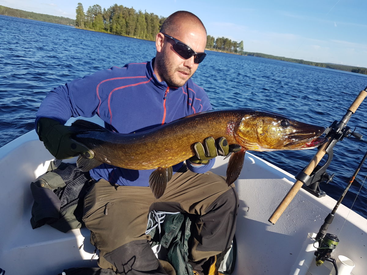 André Johannesen gutten med rette innstilling. Rett go slett herlig å lese. Velkommen inn.