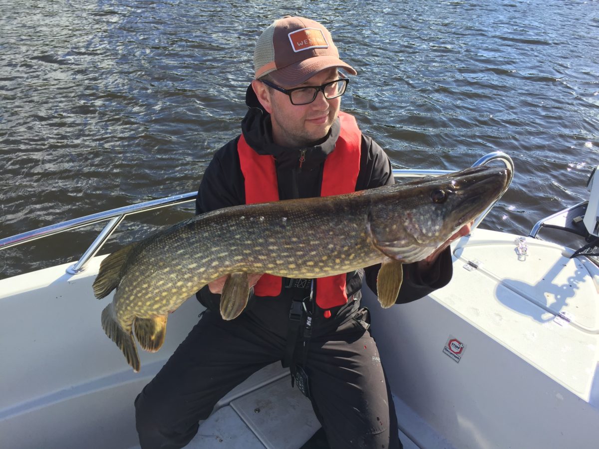 Tatt under jerkbaitfiske med en Strike Pro Buster skriver Artle Høydalen :-)