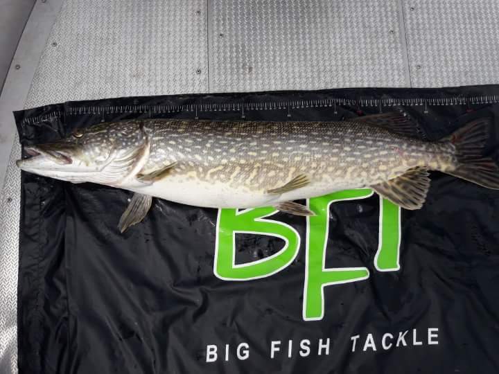 Atle Nerland melder inn 8+