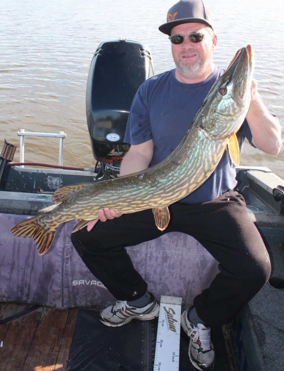 Real innmelding av Jan Erik Unnestad! 6+, 7+, 8+, 9+,9+, og 10+!!