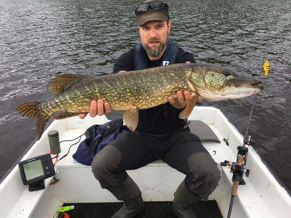 Jon Erlend Gustad med ny innmelding!