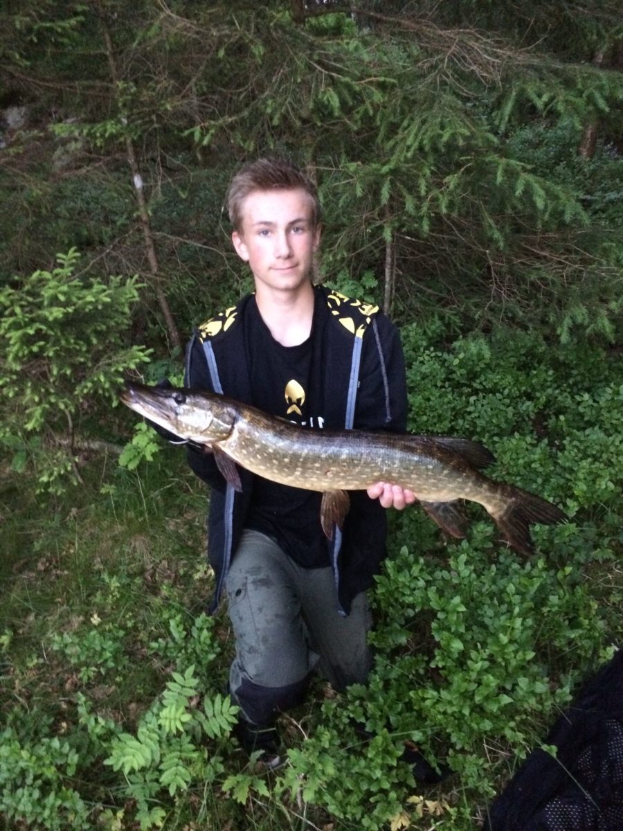 Thomas K. Halvorsen med ny innmelding!