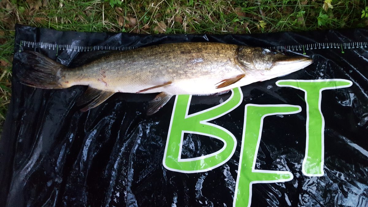 Glenn Hansen med ny innmelding!