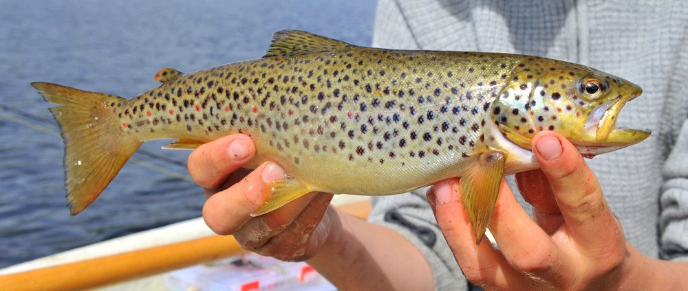 Når fullmånen setter sine spor i vannflata…….  ja da vet man at man er på verdens vakreste sted…….