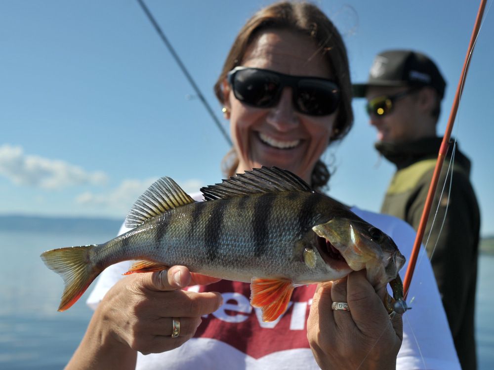 Kristin Roos Aas fyller abbor lista!