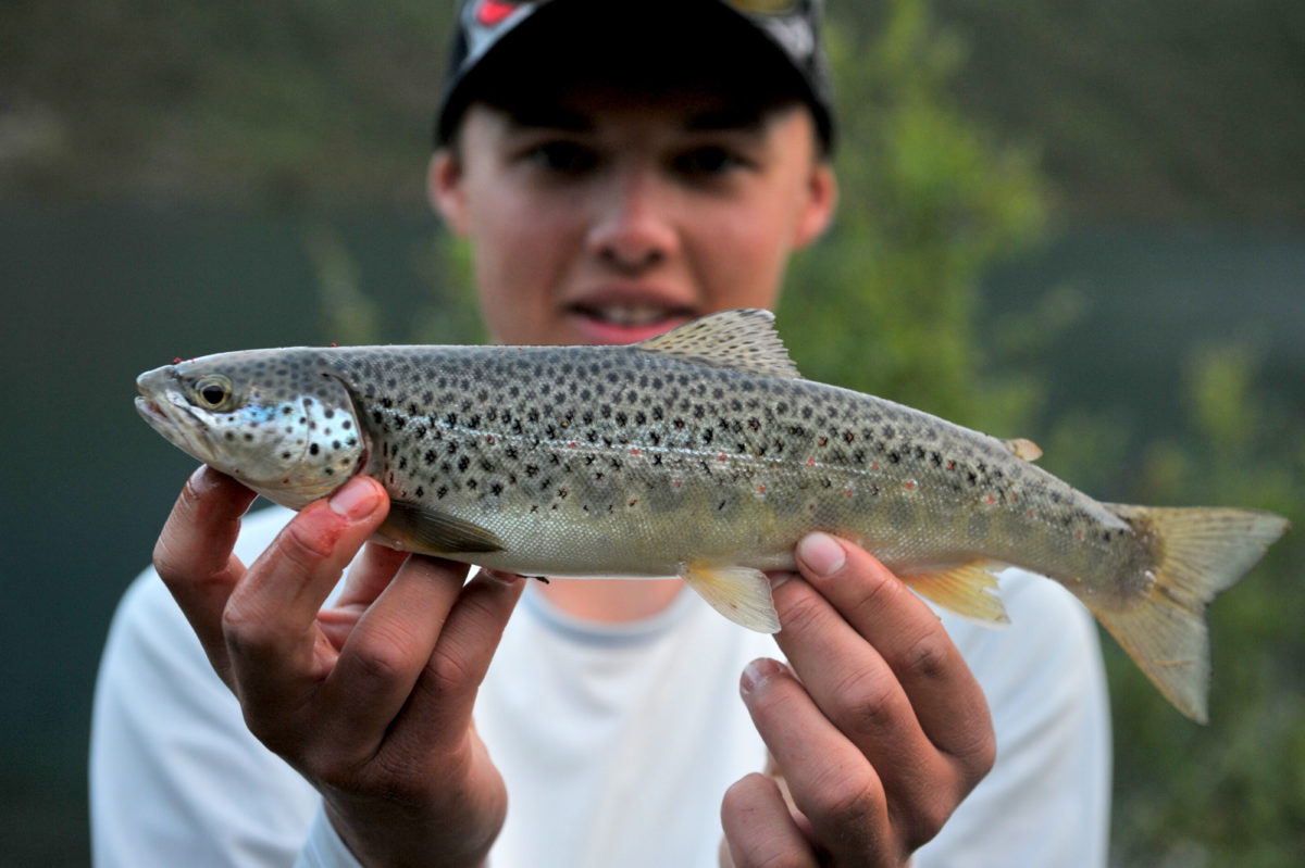 Da Thomas Roos Aas inntok Jotunheimen med gummikreps…… !!!!