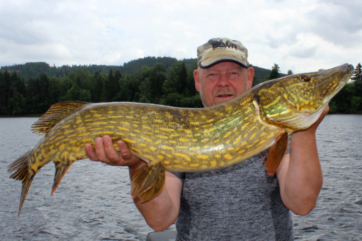 Bjørn Syversen med bra start! 11+