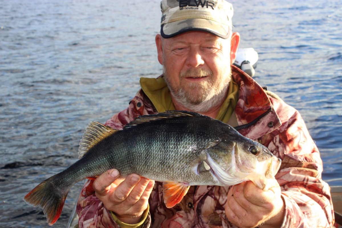 Bjørn med sin første abbor :-)