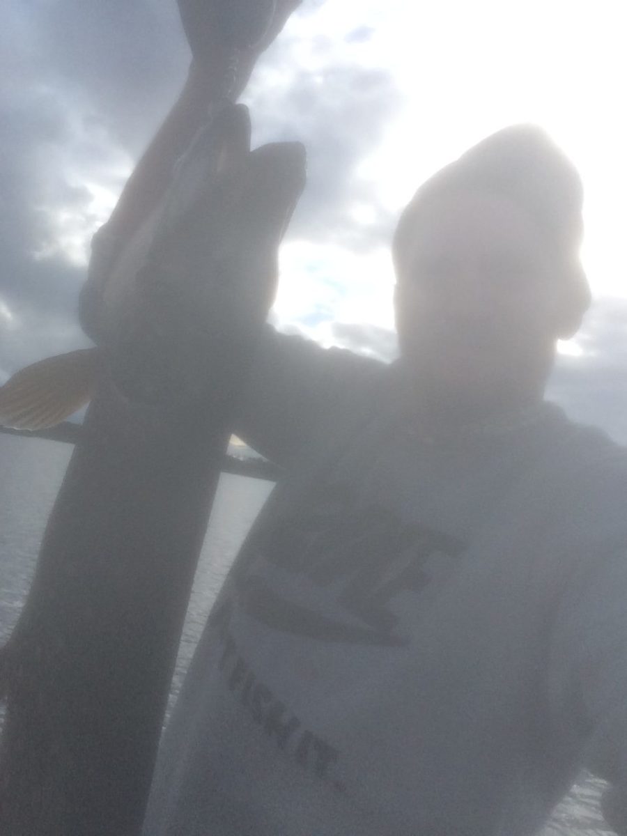 Anders Haugnes med ny fisk inn.