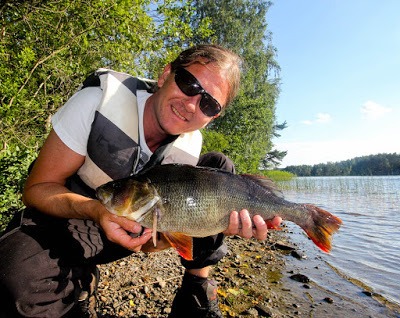 drar inn på 1. plassen. Flott sommerabbor av Jørgen.