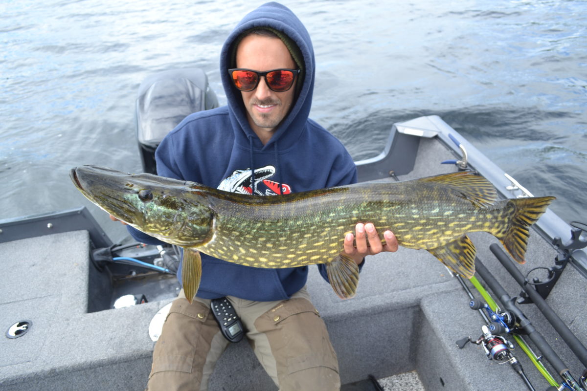 Anders Kurud melder inn ei fin gjedde!