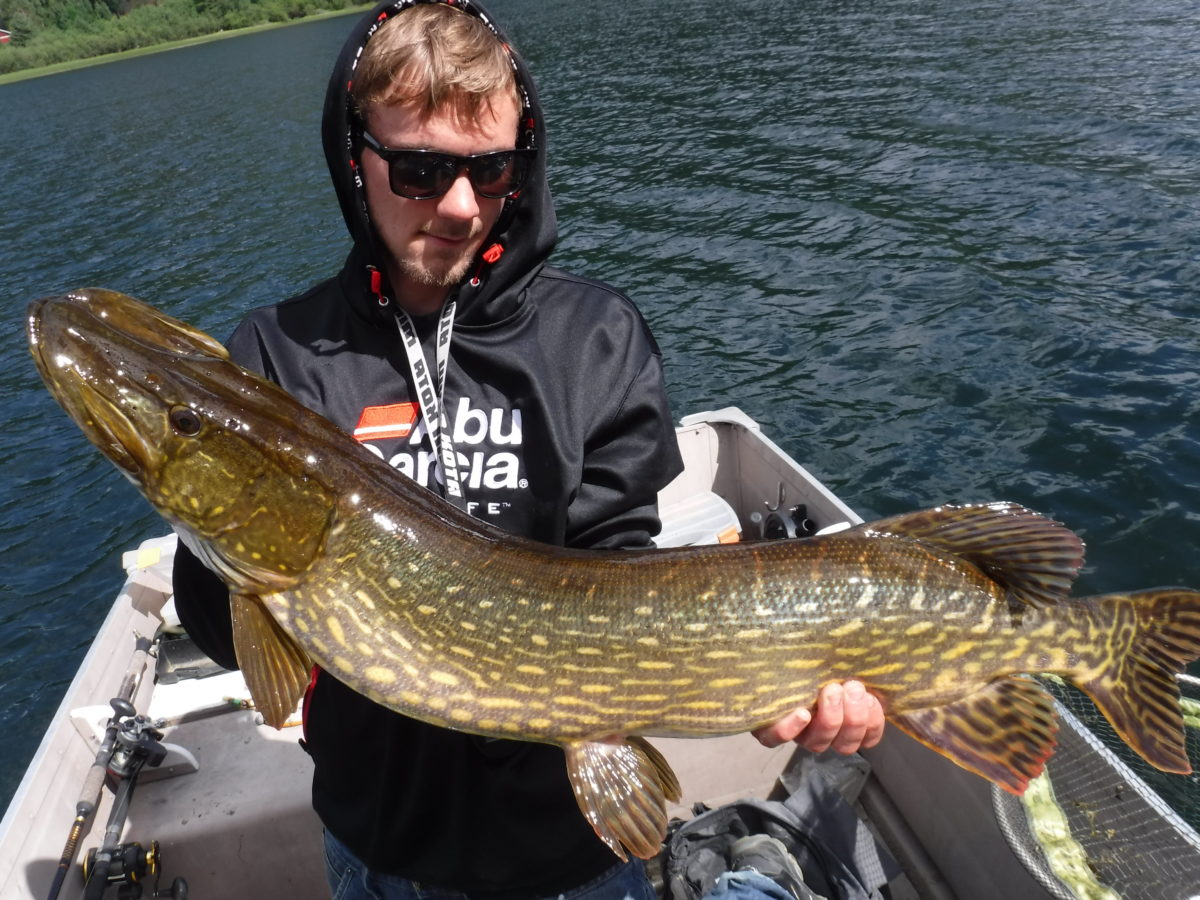 Morten Opsahl med bra inn melding!