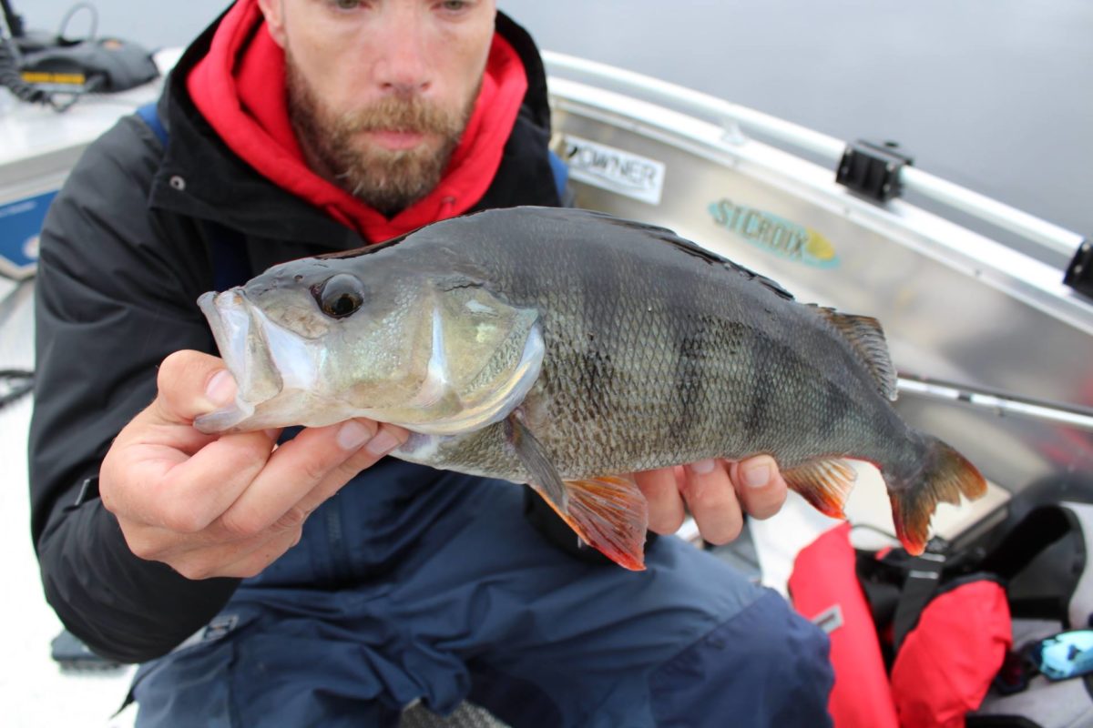 Vi ønsker Michael Andersen velkommen!