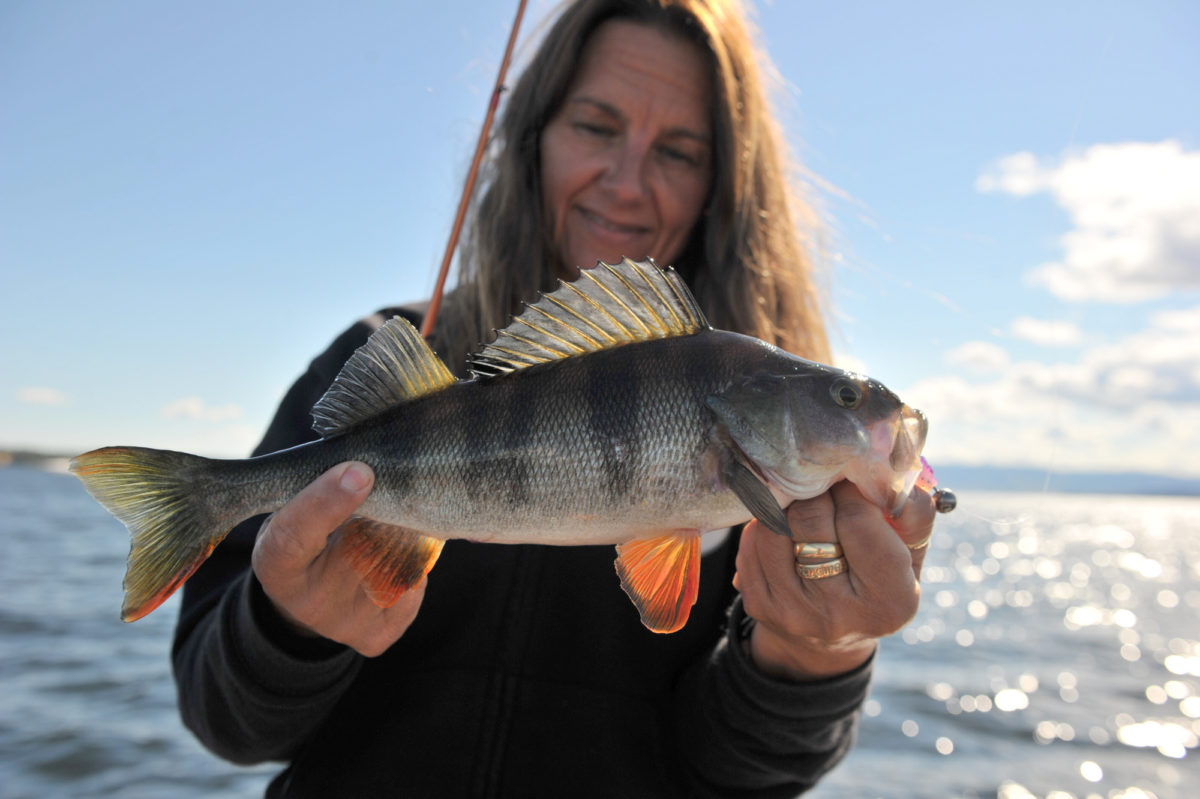 Kristin Roos Ass bytter ut en abbor.