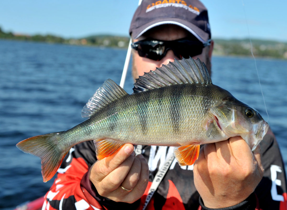 Erik går forbi Thomas Roos Aas i abborkonkurransen.