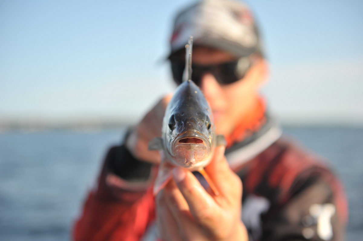 Thomas Roos Aas rykker ifra Erik Walmann i abbor konken!!