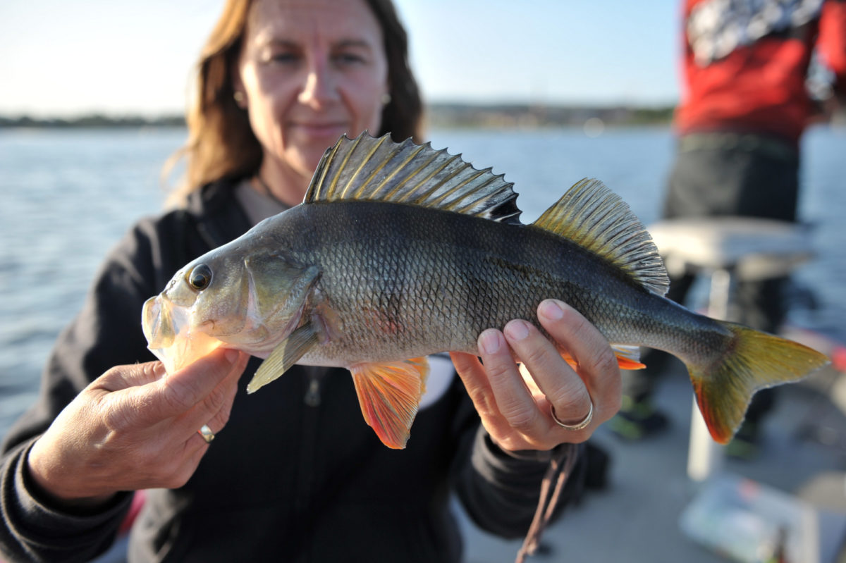 Kristin Roos Aas melder inn abbor!