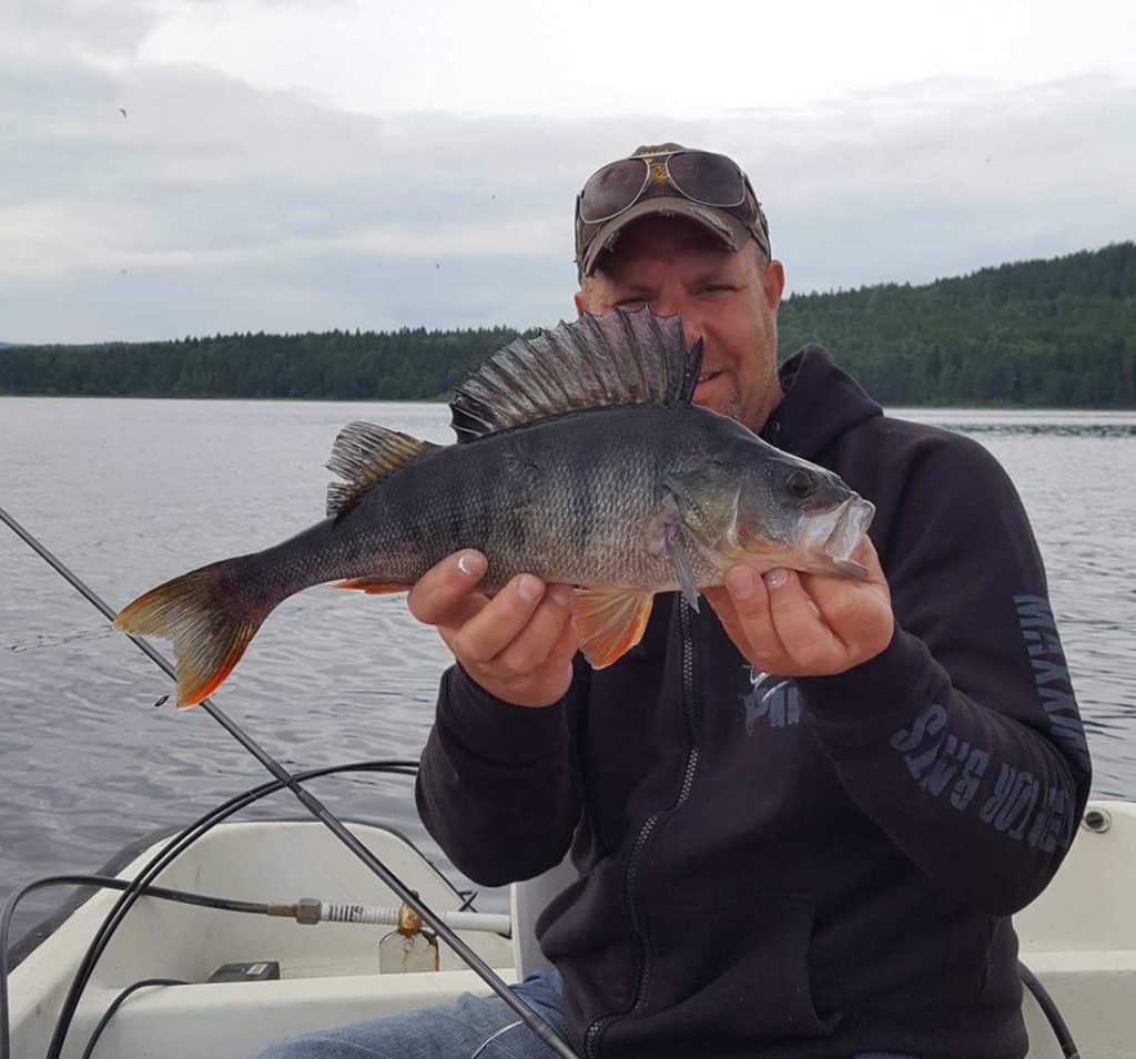 Hans K. Austad med en meget bra første innmelding på abbor :-)
