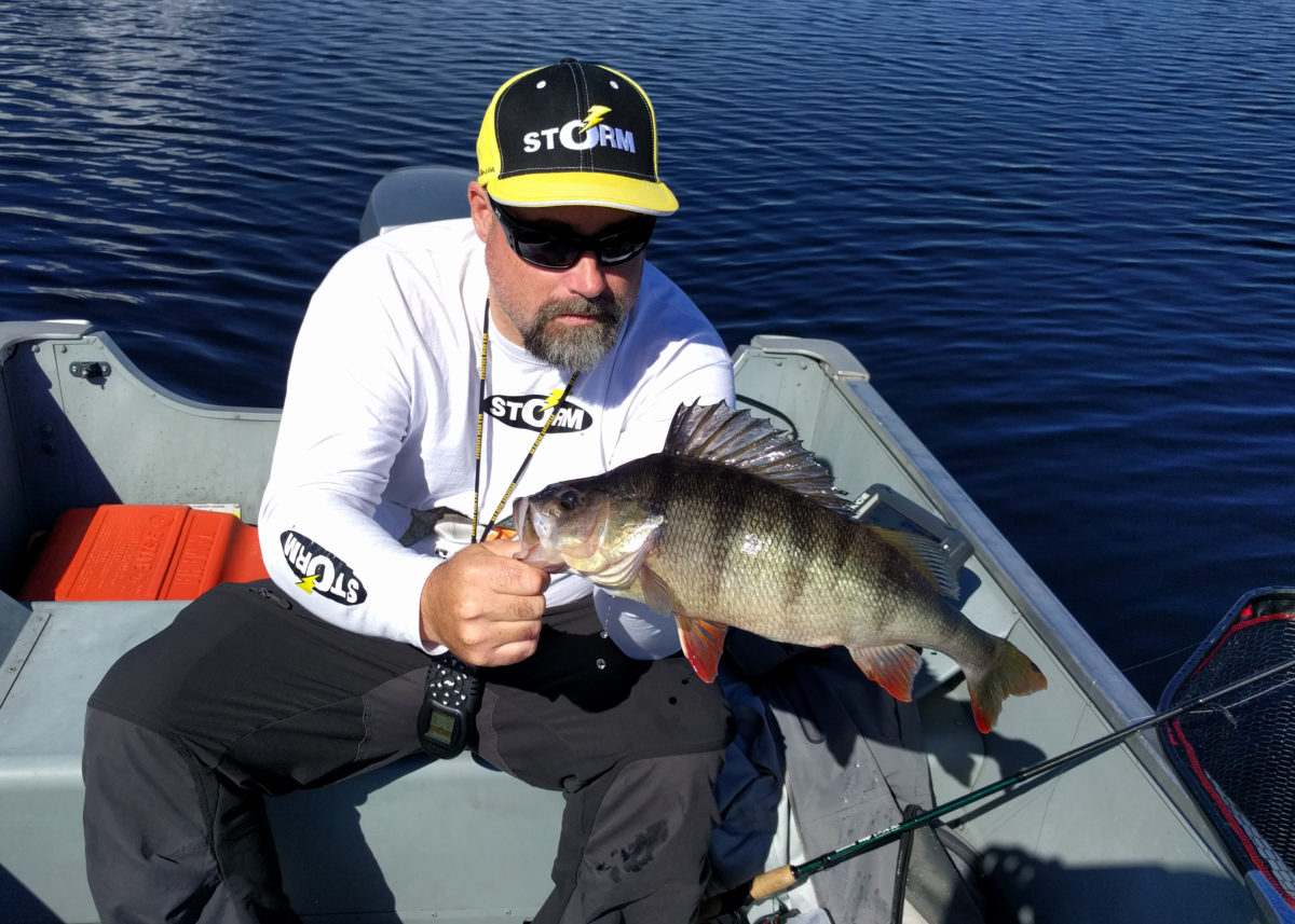 Flott innmelding av Terje Spjelkavik!!