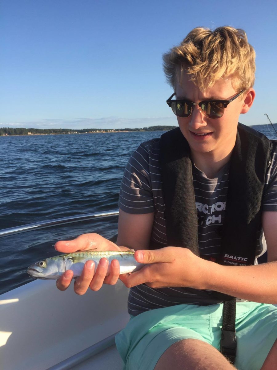 Meiting etter makrell – Markus prøver nye ting