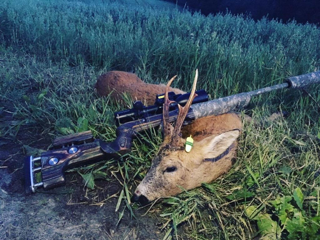 Bukk på premieredagen!