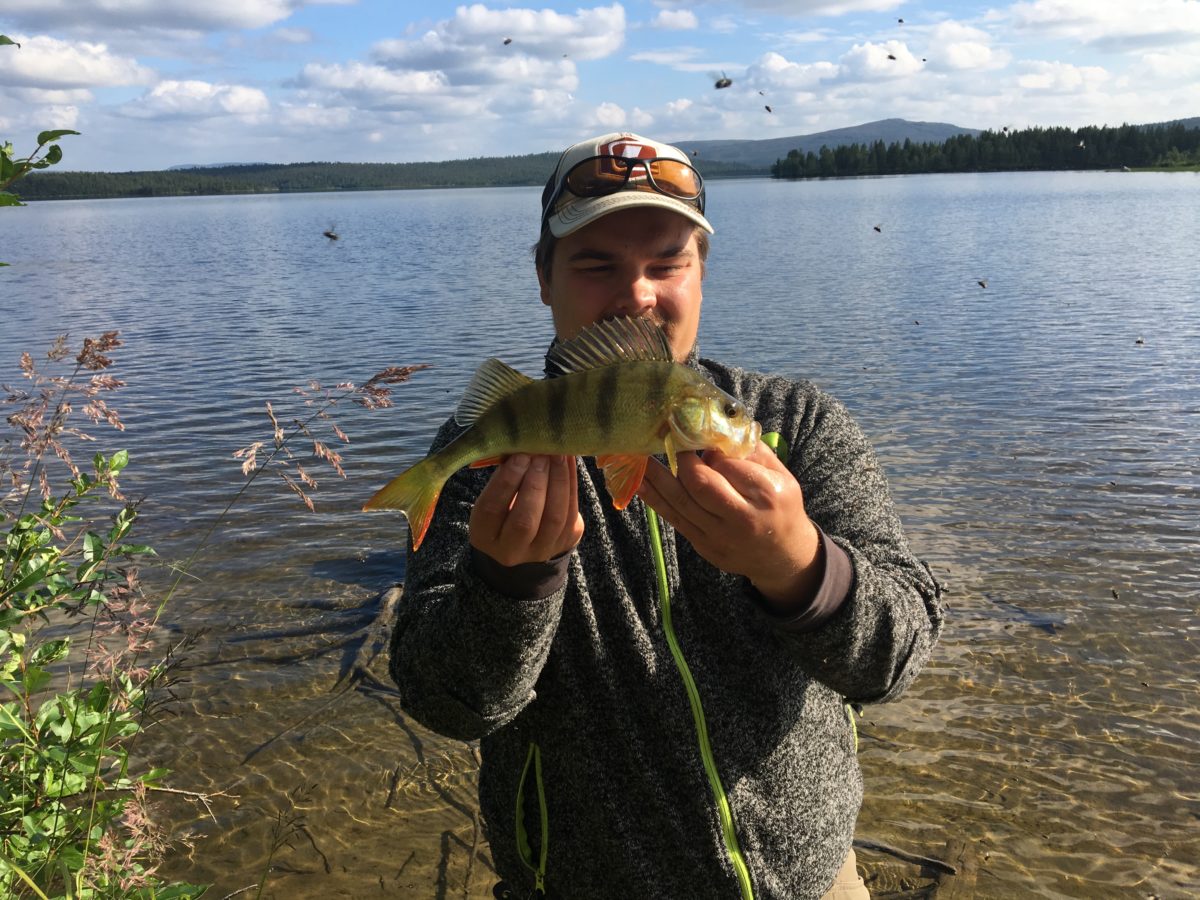 Herlige innmeldinger fra Nord.