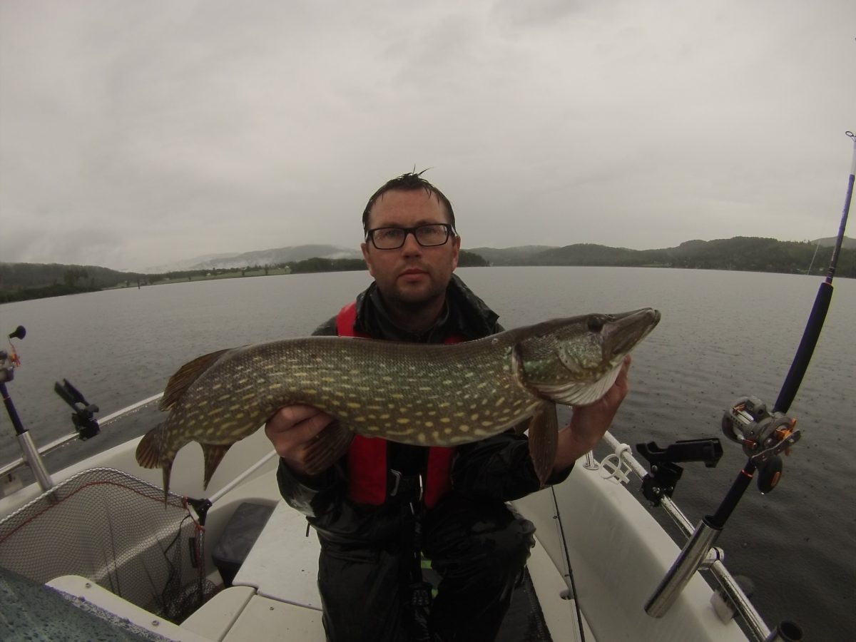 To gjedder inn for Atle Høidalen