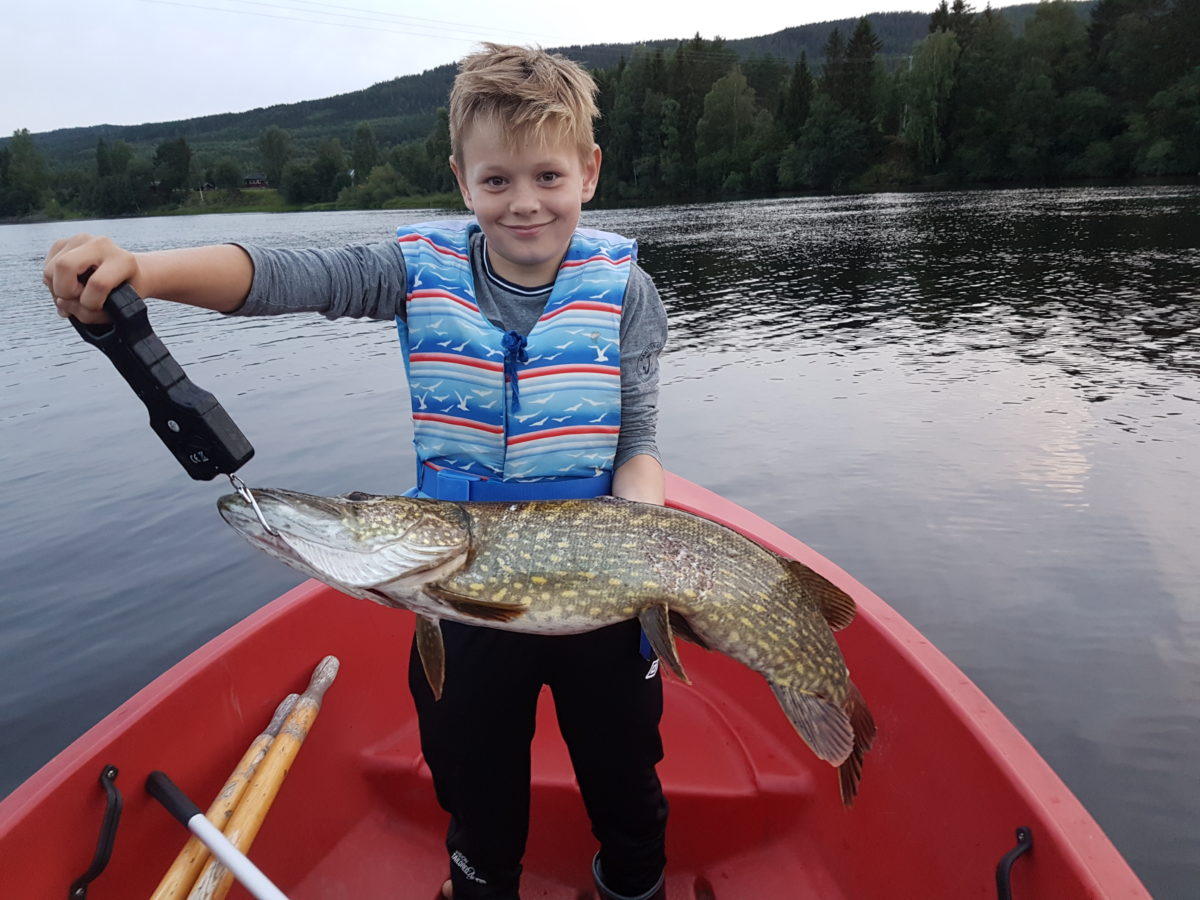 Herlig første innmelding av Eskil. En riktig stor minigris.