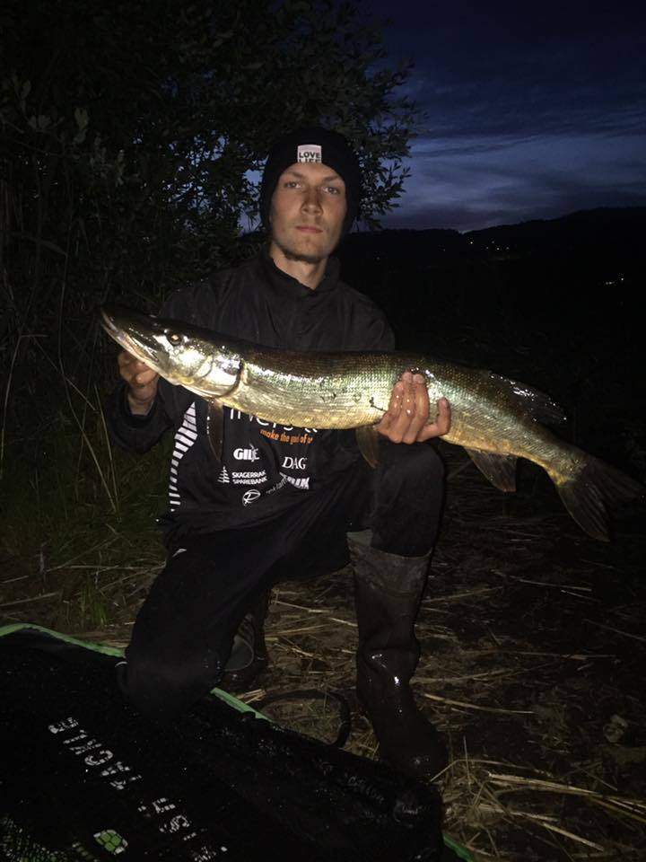 Andre Thommesen melder inn ei fin gjedde!