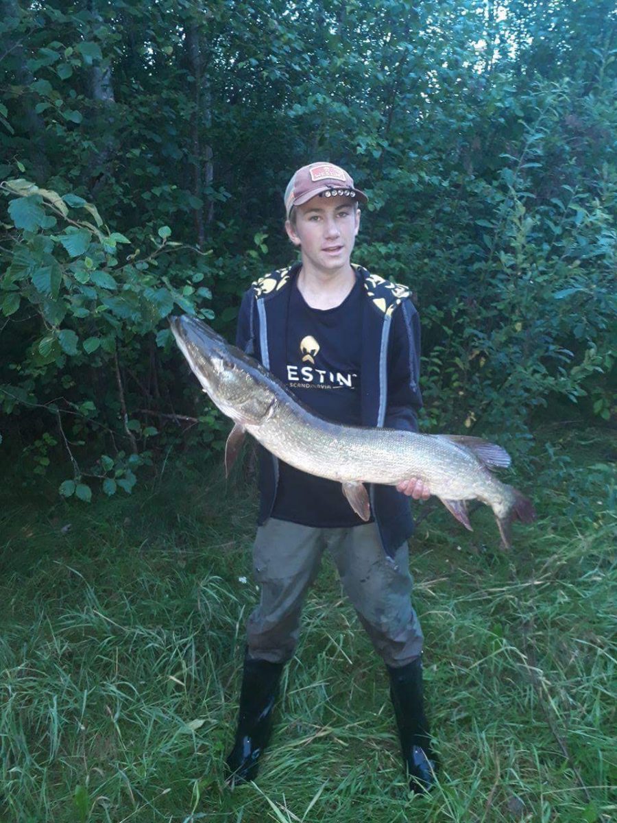 Thomas  Kjær Halvorsen melder inn ei 7+ gjedde