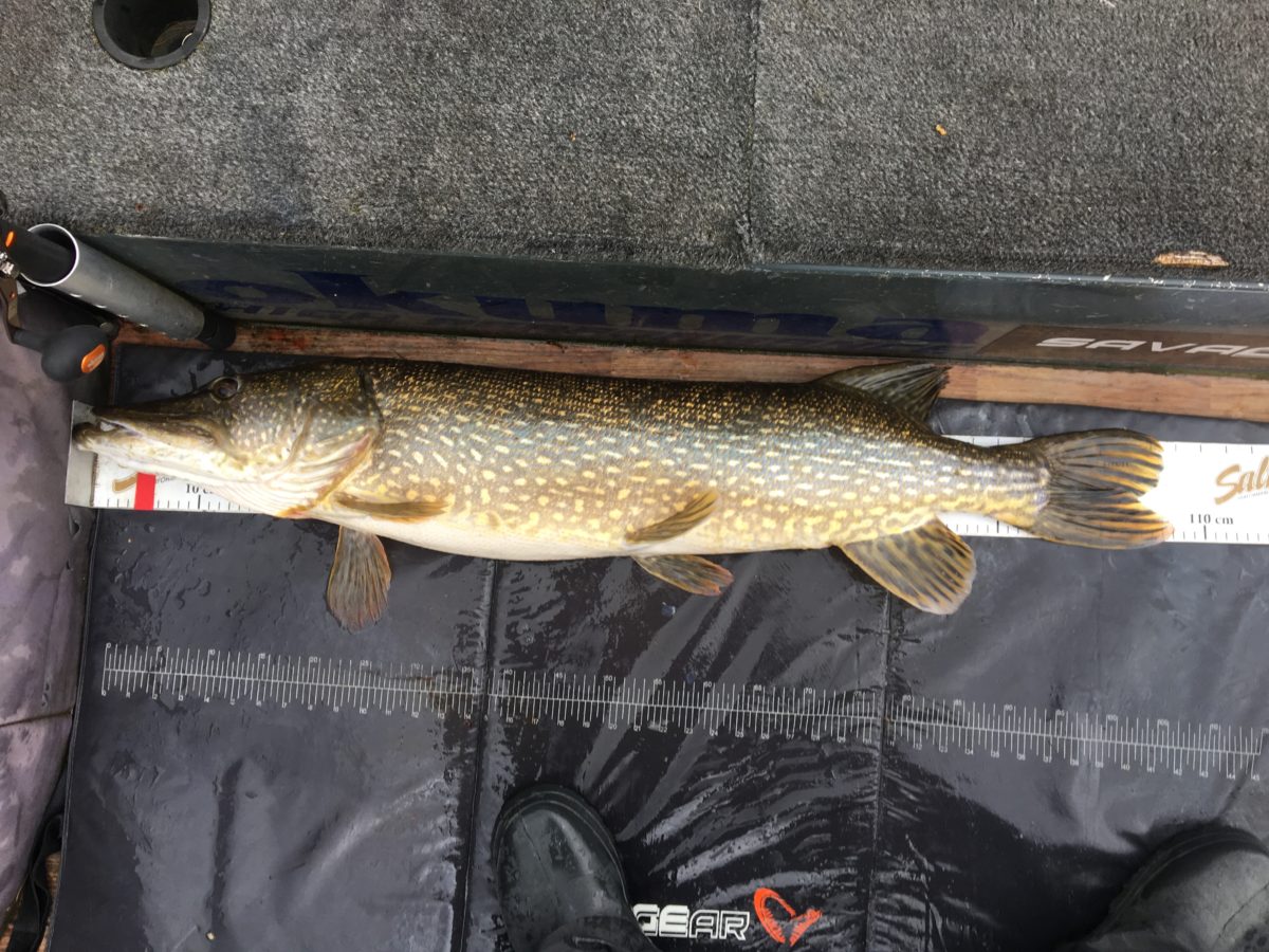 Nesten +2 kg på Jan Erik Unnestad.