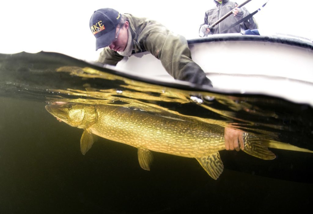Noen går nå inn i en depresjon, mens andre bare ser muligheten…… (litt tips til de som ser muligheten i høstfiske)