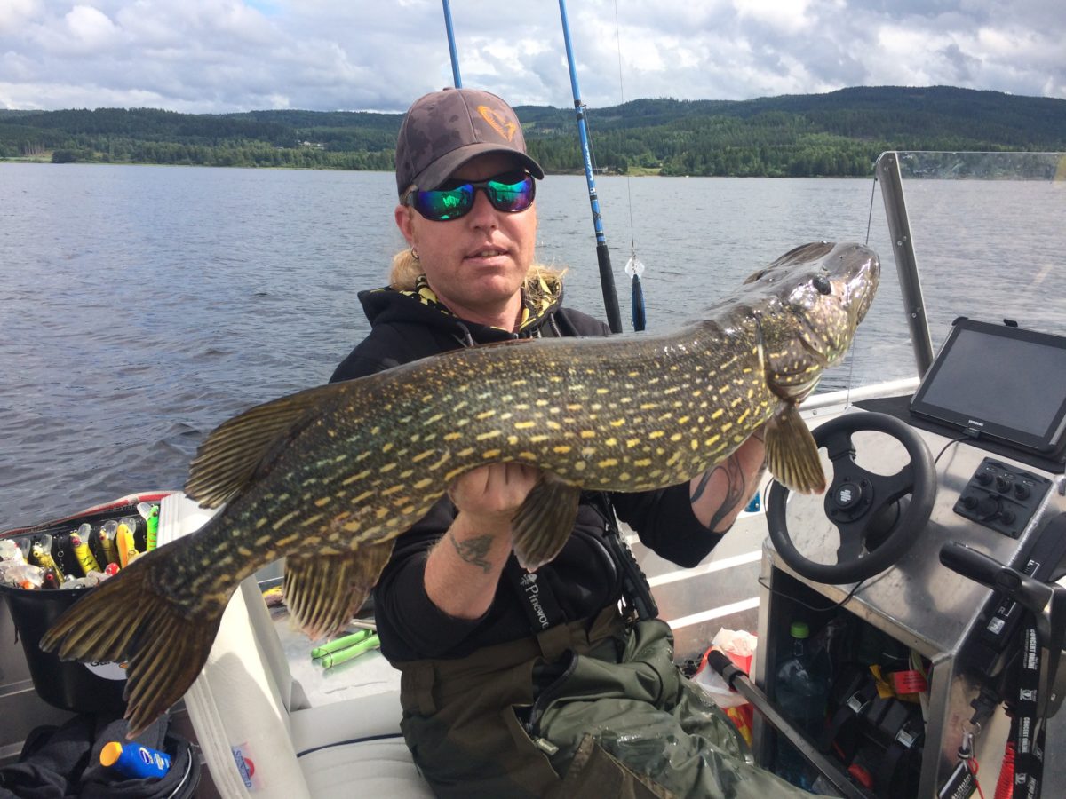 Ole Fosby med ny innmelding!